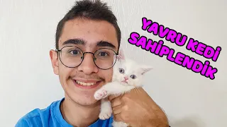 BUĞRA İLE BERATA YAVRU KEDİ SÜRPRİZİ VLOG !!