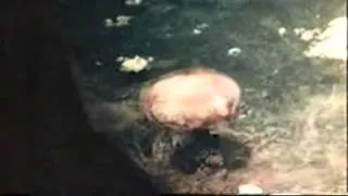 YouTube   World War II   Nuclear Explosion Nagasaki   The Fat man