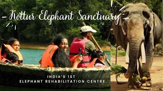 Kottur Elephant Rehabilitation Centre |  A Sanctuary for Earth's Majestic Giants
