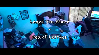 Leave You Alone - Sea Of Lettuce (unofficial music video)