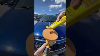 Why Detailers Still Use Carnauba Wax (and Why You Should Too)