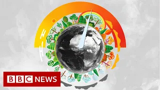 What's the difference between weather and climate? - BBC News