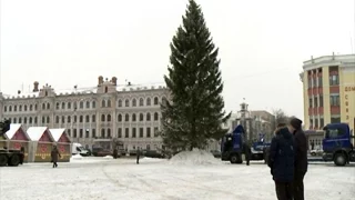 В Вологде установили главную новогоднюю ель на площади Революции