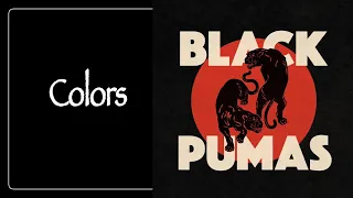 Colors - Black Pumas