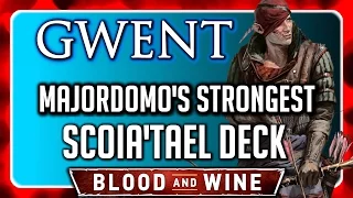 Witcher 3 🌟 BLOOD AND WINE GWENT ► Beat the Strongest Scoia'Tael Deck (Majordomo)