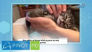 Pinoy MD: Ano ang dapat gawin kapag nakagat ng pusa?