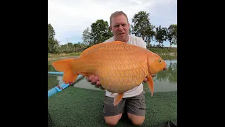 JM FISHING PARK Pattaya Thailand 2021. Siamese carp, Koi carp, red tail catfish all for £1 a rod!!