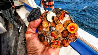 THEY THREW A MAGNET INTO THE BLACK SEA. WHAT A FIND! A PILE OF COINS AT THE BOTTOM OF THE SEA. 