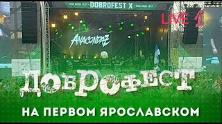 Anacondaz - Live Доброфест - 2019 ("Первый Ярославский")