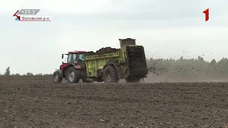 На нескольких сельхозполях Тульской области собрали рекордный урожай пшеницы