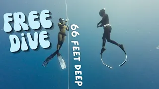 FREE DIVING to 66 ft in Hawaii