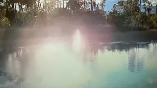 Mysterious Swamp Light