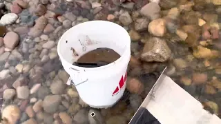 Lake Michigan Beach Mining