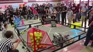 VEX Nothing But Net - 6891 Jackpot - 325 Alliance Score