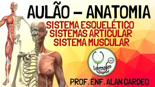 Sistema Esquelético, Articular e Muscular - Revisão Anatomia Humana