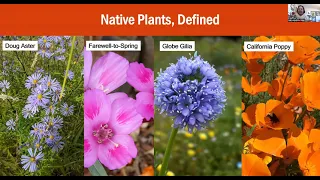 Gardening with Native Plants for Pollinators with Gail Langellotto, Ph D