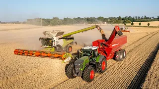 HORSCH AgroVation - CTF Harvest 2022 - Claas Lexion 8900 & 8700, Fendt 936 Vario, Horsch Titan 44 UW