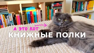 КНИЖНЫЕ ПОЛКИ | тур по книжным полкам и уборка 📚