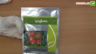 Фортикс F1 томат (Syngenta) Антифейк