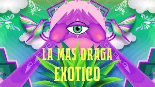 LA MÁS DRAGA - EXÓTICO (EXTENDED AUDIO)