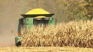 Corn Harvest 2023 | John Deere 9670STS Combine Harvesting Corn | Ontario, Canada