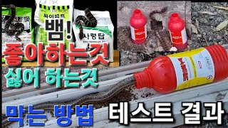 뱀퇴치 올바른 방법#뱀퇴치 잘못된 방법#뱀이 싫어하는 냄새는?#The wrong way to exterminate snakes#농사유튜브