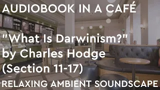 Relaxing Ambient Soundscape - Audiobook In A Café "What Is Darwinism?"/Charles Hodge - Section 11-17