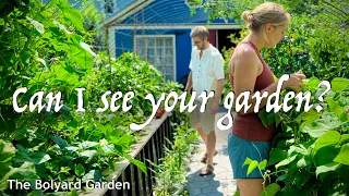 The Bolyard Garden, On Urban Farm Day. Forest Garden/Urban Homestead/Herbal Remedies/Fabric Dyes.