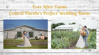 Central Florida's Best Wedding Barn Venues