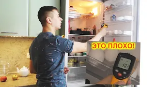 На какой полке хранить продукты в холодильнике? Сроки хранения продуктов.