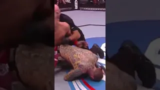 Renan Barao vs Eddie Wineland