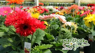 Nanticoke Gardens Customer Appreciation 2024