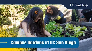 Campus Gardens at UC San Diego