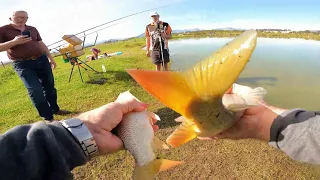 Carp Fishing Western Cape - Caught Two Carp On One Line...