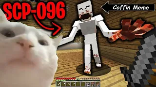 Coffin Meme but Cat is Vibing in Minecraft Part 5