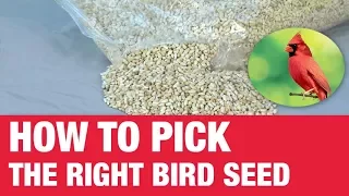 How To Pick Bird Seed - Ace Hardware