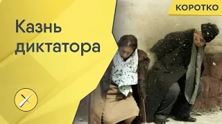 Ждет ли Путина судьба Чаушеску?