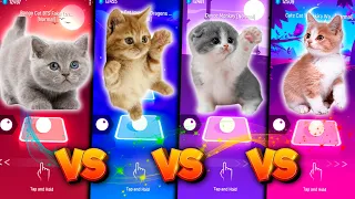 CUTE CATS BTS FAKE LOVE VS IMAGINE DRAGONS BONES VS DANCE MONKEY V SHAKIRA WAKA WAKA & TILES HOP EDM