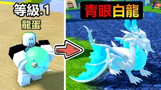 【DragonFire Beta】I Hatch Blue-Eyes White Dragon！！