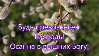 Праздник Вход Господень в Иерусалим !