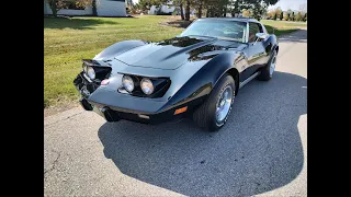 1976 Chevrolet Corvette 1 of 9 Primer Cars Produced w/L82 and only 3500.  Walk Around @ RT36.