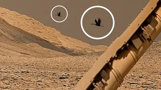 Mars Perseverance Rover || Mars Planet Real Video || Latest Mars Rover Video: Sol 859 || Planet Mars