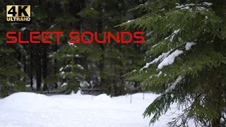 Sleet 💧💧💧- Freezing rain -  Rain Sounds to Sleep - 8 HOURS - Snow & sleet sounds - Nature Sounds  4K