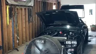 555 bbc twin turbo dyno