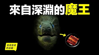 So Every Eel You Ate Has Seen The Secret From Deep Sea...The Self-Talking Boss