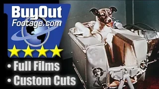 Laika - Russian Dog in Space 1957 Stock Video b-roll