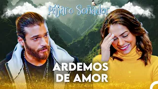 El Viaje De Sanem Para Encontrar El Amor - Pájaro Soñador