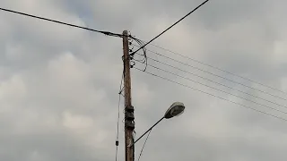 Thick, black ribbed overhead power lines.  Including ABC termination.