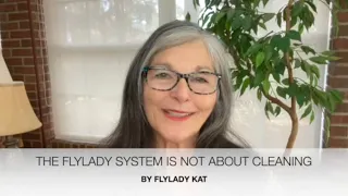 THE FLYLADY SYSTEM IS NOT ABOUT CLEANING - A Free Sample Patreon Video