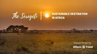 The Serengeti  - One of Africa’s Most Sustainable Destinations